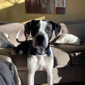 Meet your Posher, Matt